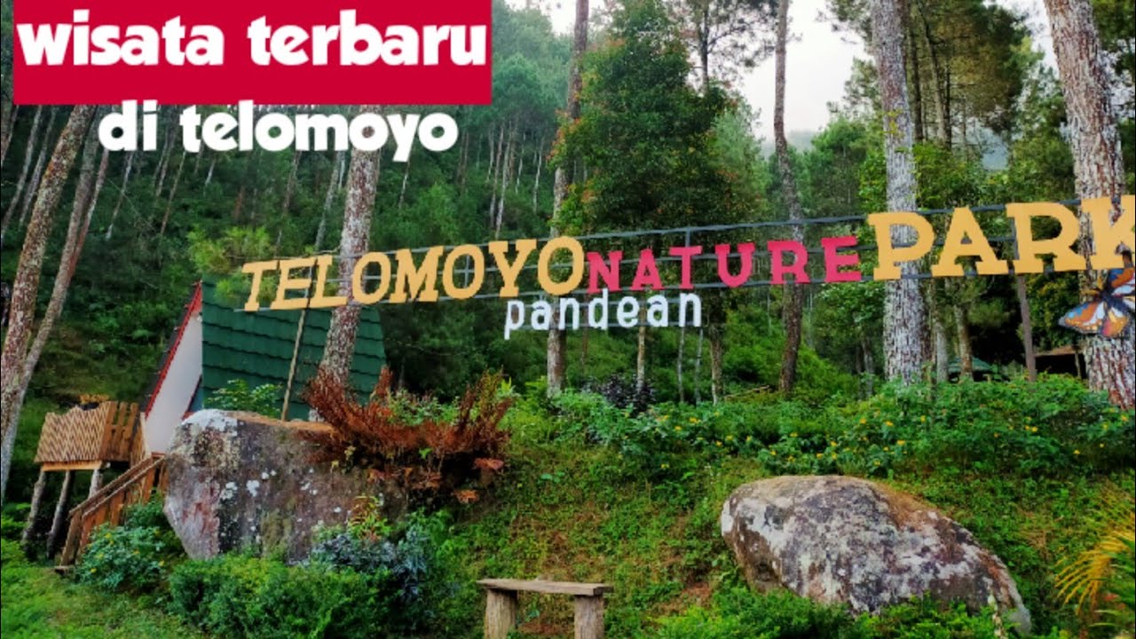 Telomoyo Nature Park: Destinasi Alam Menawan di Jawa Tengah